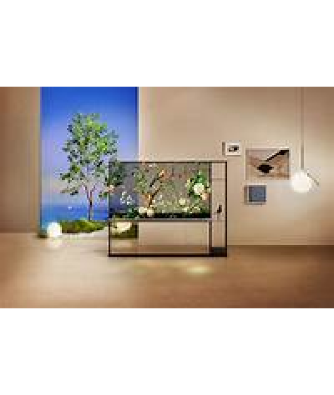 LG Signature OLED T